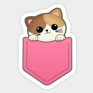 Cute kitten in a Pocket Sticker